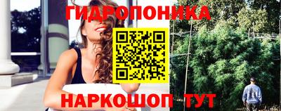 твердый Шелехов